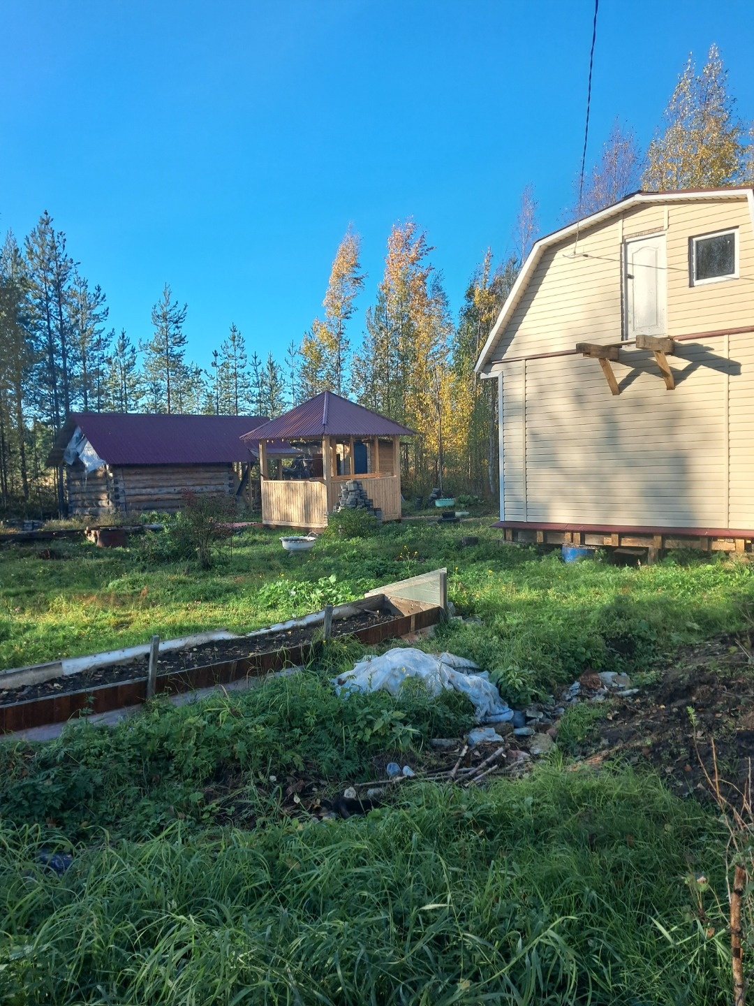 В продаже дачный участок с домом. Дом из бруса, обшит сайдингом, есть баня(необходима внутреняя отделка), теплица,беседка, сарай. Участок разработан, посажено множество кустов и деревьев(вишня, черноплодка, облепиха, калина). Рядом лес, есть морошка, черника, белые грибы. 
В снт есть колодец с питье
