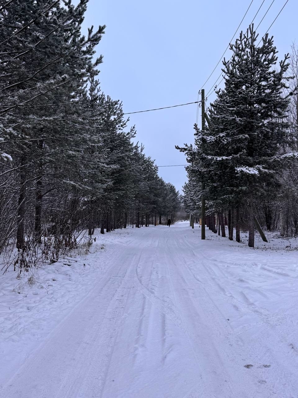 В продаже участок под строительство жилого дома! 
МО Повракульское, д.Повракульская.
Площадь 7,5 сот. 

Заключен и ОПЛАЧЕН договор на электричество.
Свой заезд на участок, вторая линия от дороги. 
Хорошие подъездные пути , дорога зимой обслуживается. 

Единственный участок ,который самый ближний к